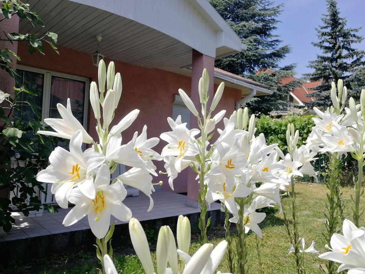 Feszek Apartmanhaz Apartment