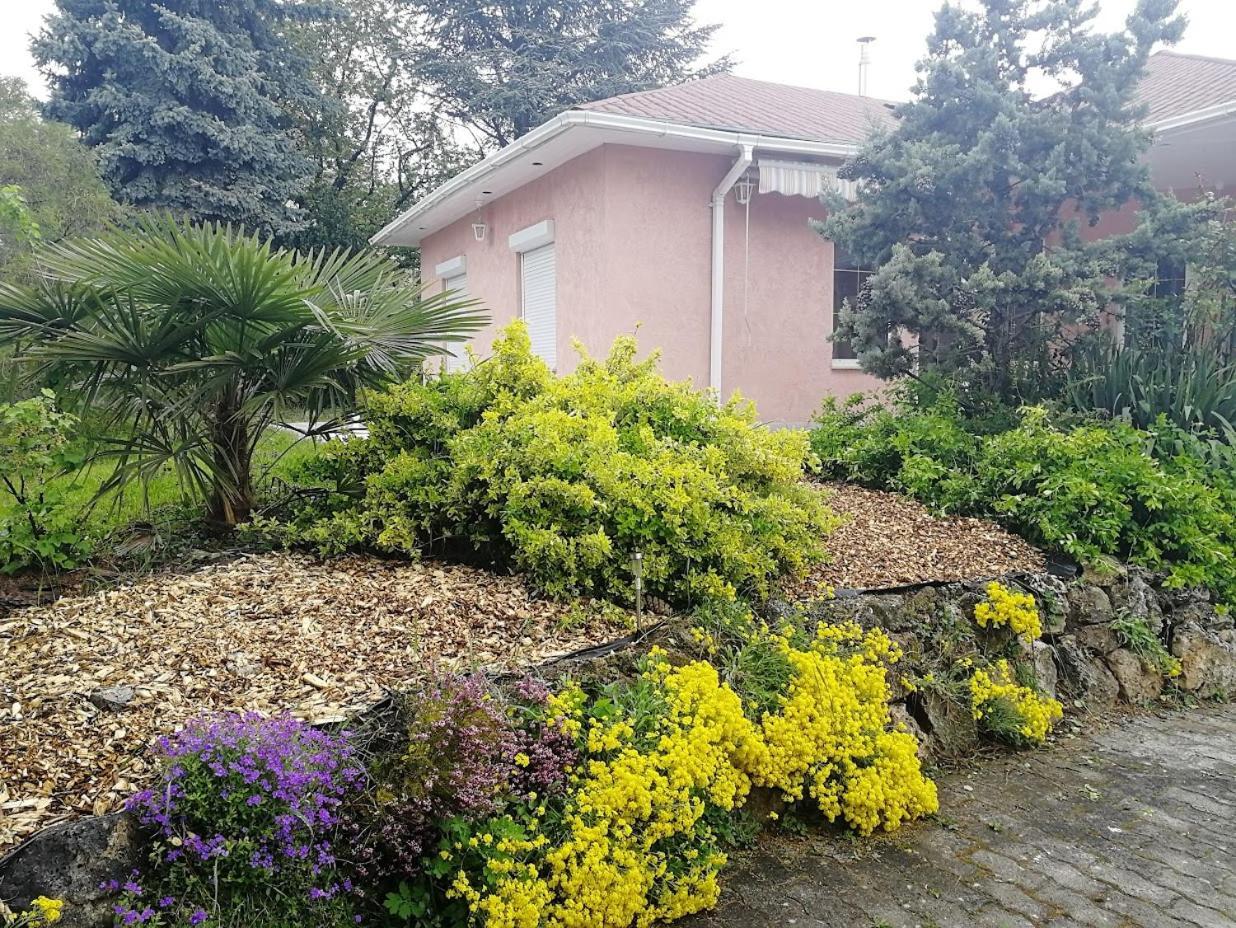 Feszek Apartmanhaz Vonyarcvashegy