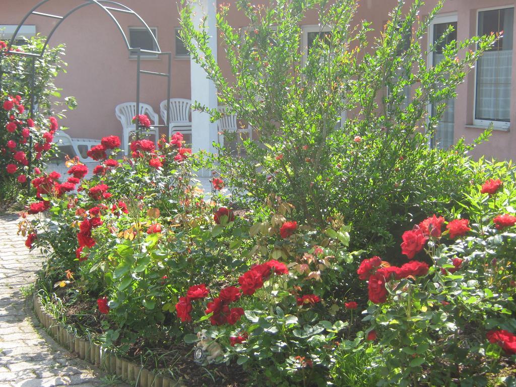 Apartment Feszek Apartmanhaz Vonyarcvashegy